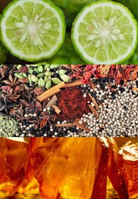 Bergamot-skiver, forskjellige krydder og ravharpiks. Lys grønn, teksturert sitrus, ulike former og farger av krydder, og gjennomsiktige ravstykker.