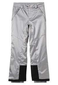 Spyder Pantalón de nieve - silver-coloured