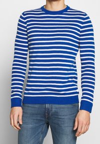 Modrý a bílý pruhovaný svetr s kulatým výstřihem a dlouhými rukávy, vyrobený z měkké pletené tkaniny. Má žebrované manžety a lem.