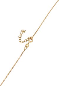 Collana in oro con un delicato design a maglie, un moschettone e un estensore della catena regolabile per diverse lunghezze.