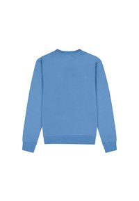 Sudadera de color azul claro con cuello redondo, mangas largas y puños y dobladillo de canalé; textura suave sin patrones o logos visibles.