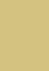 sunbaked yellow