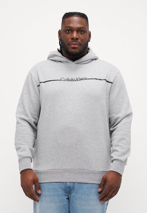 SPLIT LINE LOGO HOODIE - Sweatshirt - light grey heather
