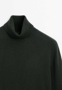 Pull à col roulé vert foncé en tissu doux et texturé. Doté d'un col haut côtelé et de manches longues. Design minimaliste, sans accents supplémentaires.
