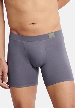 Boxer da uomo grigi realizzati in tessuto liscio, con vestibilità aderente, gambe corte e una vita con logo rettangolare.
