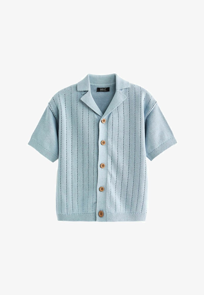 Next Kardiganas - blue