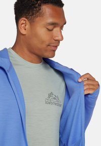 icebreaker MERINO 360  REAL FLEECE ELEMENTAL ZIP HOODIE - Sweater met rits - baja