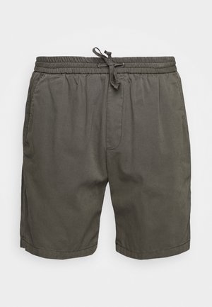 Shorts en coton verts avec une taille élastique, un cordon de serrage ajustable, des poches latérales et une coupe décontractée. Texture lisse et design simple.