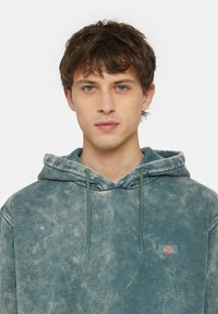 Dickies NEWINGTON  - Jersey con capucha - dble dye acd fr