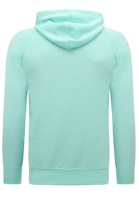 Licht muntgroen sweatshirt met capuchon, voorzien van raglanmouwen, ribgebreide manchetten en een gladde, zachte textuur. De achterkant toont eenvoud in het ontwerp.