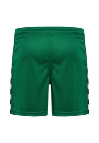 Gröna sportshorts med en slät tygkvalitet, elastisk midja och svarta sidopaneler med ett vitt mönster. Klassisk design och andningsbart material.