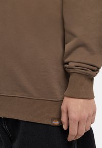 Felpa marrone con polsini e orlo a costine, con un piccolo logo Dickies ricamato sul lato sinistro in basso. Tessuto morbido e vestibilità rilassata.