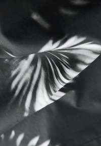 Svartvitt tyg med abstrakta virvlande mönster, slät textur och lätt glans, vikt för att visa lagerdetaljer.