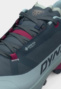 Close-up of blue and pink Dynafit hiking shoe with Gore-Tex Invisible Fit label and mountain cat logo on the tongue.