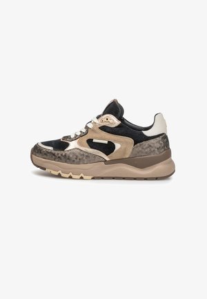 Floris van Bommel, FLORIS VAN BOMMEL SNEAKER TRENI 02 - Baskets basses - gold-coloured