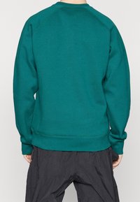 Sudadera de color verde azulado con cuello redondo y puños acanalados, que presenta un diseño sin costuras. Textura de tela suave, sin adornos y minimalista.
