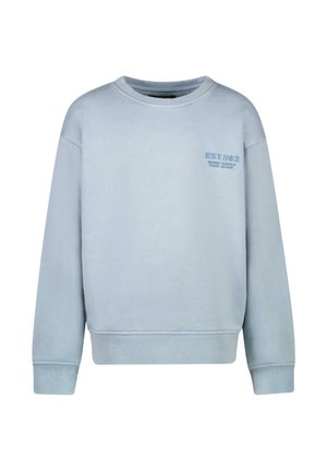 Lichtblauwe sweatshirt met een ronde hals, lange mouwen en geribbelde manchetten. Voorzien van een klein gedrukt logo in een donkerder blauw op de voorkant.