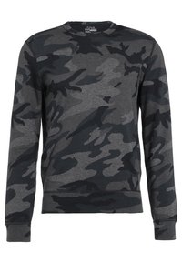 Polo Ralph Lauren Sweatshirt - grey