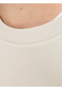 Suéter de algodón color beige claro con un cuello redondo acanalado. La tela es suave, con una textura sutil y sin patrones o acentos visibles.