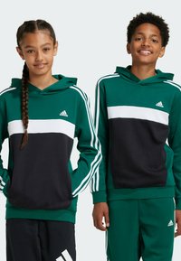 Sudadera verde con rayas horizontales blancas y negras, que cuenta con un bolsillo tipo canguro, capucha y el logo blanco de Adidas en el pecho y las mangas.