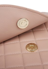 C'iel DELINA - Borsa a tracolla - nude