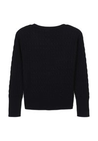 Maglione a maniche lunghe nero in maglia con motivo a treccia, collo a giro, e polsini a costine, mostrato da dietro su uno sfondo bianco.