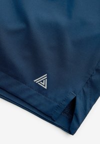 Next GYM - REGULAR FIT - Korte sportsbukser - blue