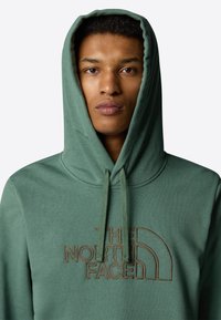 Grüner Kapuzenpullover mit einem großen, gestickten Logo und braunen Akzenten auf der Brust. Hergestellt aus weichem Material mit lockerer Passform.