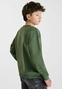 Groen sweatshirt met een ronde hals, lange mouwen en geribde boorden. Heeft een gladde textuur en een relaxte pasvorm, weergegeven vanaf de achterkant.