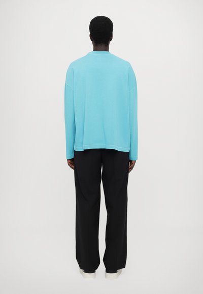 Light blue long-sleeve shirt made of soft fabric, featuring a relaxed fit and round neckline, paired with black wide-leg pants.