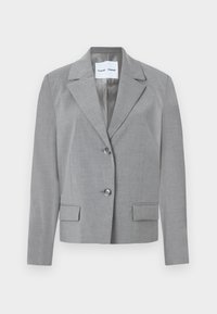 RILA - Kratka jakna - grey
