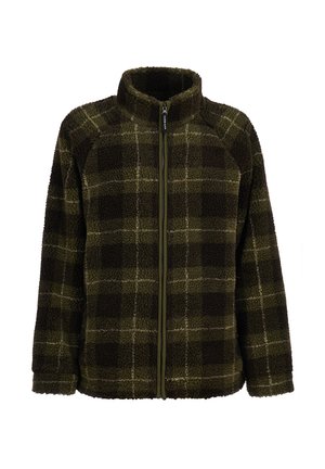 Groene en donkerbruine geruite fleecejas met een volledige ritssluiting aan de voorkant en een hoge kraag, gemaakt van textiel met een zachte, warme en gestructureerde stof.