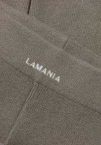 LA MANIA ENDING - Rövidnadrágok - grey