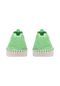 Zapatos verdes y transpirables de tipo slip-on con un diseño perforado, puntera redondeada y suelas de goma blanca texturizada. Sin cordones ni cierres.