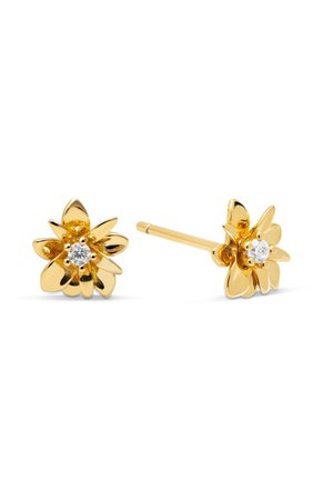 GARDENIA - Boucles d'oreilles - gold-coloured