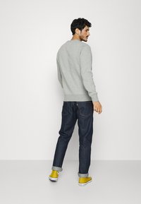 Tommy Hilfiger LOGO - Sudadera - light grey heather