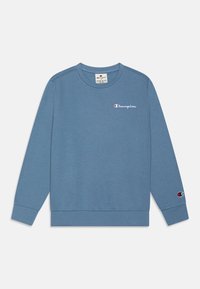 Blå sweatshirt i bomullsmaterial, med rund halsringning, långa ärmar och liten broderad logotyp på bröstet och ärmen.