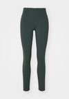 ONE  - Retuusid - vintage green