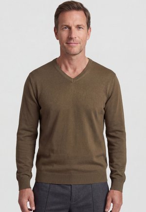 Middle-aged man with light brown hair wearing an olive green V-neck sweater and dark gray pants, standing against a plain white background.