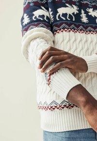 Pull en tricot avec une base crème, arborant un motif marine de moose et d'arbres, rehaussé de dessins géométriques rouges et bleus. Manches texturées.