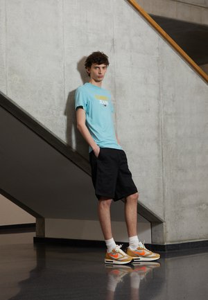 ENTRY GRAPHIC TEE - Print T-shirt - crest