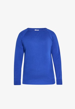 Niebieski sweter z długim rękawem, okrągłym dekoltem, prążkowanymi mankietami i dołem, prosty design, zaprezentowany na białym tle.