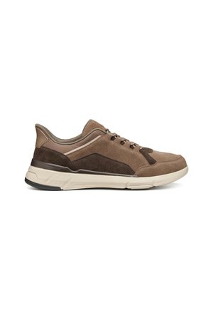 Geox, U VITTOUR PLUS - Sneakers basse - taupe chocolate