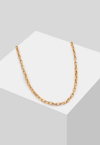 Collana in metallo dorato con catena caratterizzata da anelli allungati e un design semplice, su uno sfondo neutro.