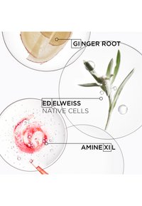 Trois boîtes de Petri superposées contenant une tranche de racine de gingembre, une plante d'edelweiss et un liquide rouge étiqueté AmineXL, avec un texte pointant vers chacun.