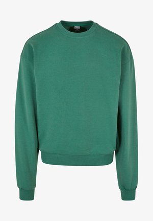 Zaļa kokvilnas kapuce, ar apaļu kakla izgriezumu, garām piedurknēm, ribotām maliņām un brīvām griezuma formām, bez redzamām rakstiem vai aksesuāriem.