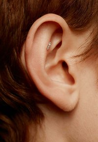 Pendiente de oreja plateado con pequeñas piedras preciosas transparentes, llevado en la parte superior de la oreja. Enfócate en los detalles intrincados y la textura suave del metal.