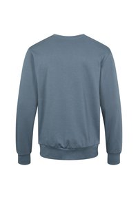Blauw katoenen sweatshirt met lange mouwen, ribgebreide boorden en onderrand. Glad textuur, eenvoudig ontwerp en geen grafische details op de achterkant.