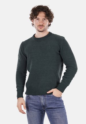 Maglione lavorato a maglia verde scuro con scollo rotondo, maniche lunghe, polsini e orlo a coste, indossato con jeans blu su uno sfondo semplice.