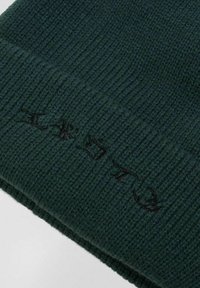 Berretto lavorato a maglia verde scuro con texture a coste e dettaglio del logo ricamato in nero. Materiale morbido, vestibilità aderente, progettato per il calore.